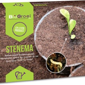 Aaltjes tegen Rouwvliegjes | Stenema 10m² | Rouwvliegjes bestrijden tot 25 kamerplanten