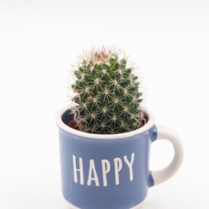 Koffiemok met cactus of vetplant | Keuze uit 6 teksten | Perfect cadeau