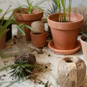 Plantverzorging