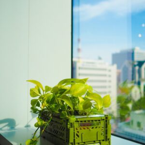 Planten box