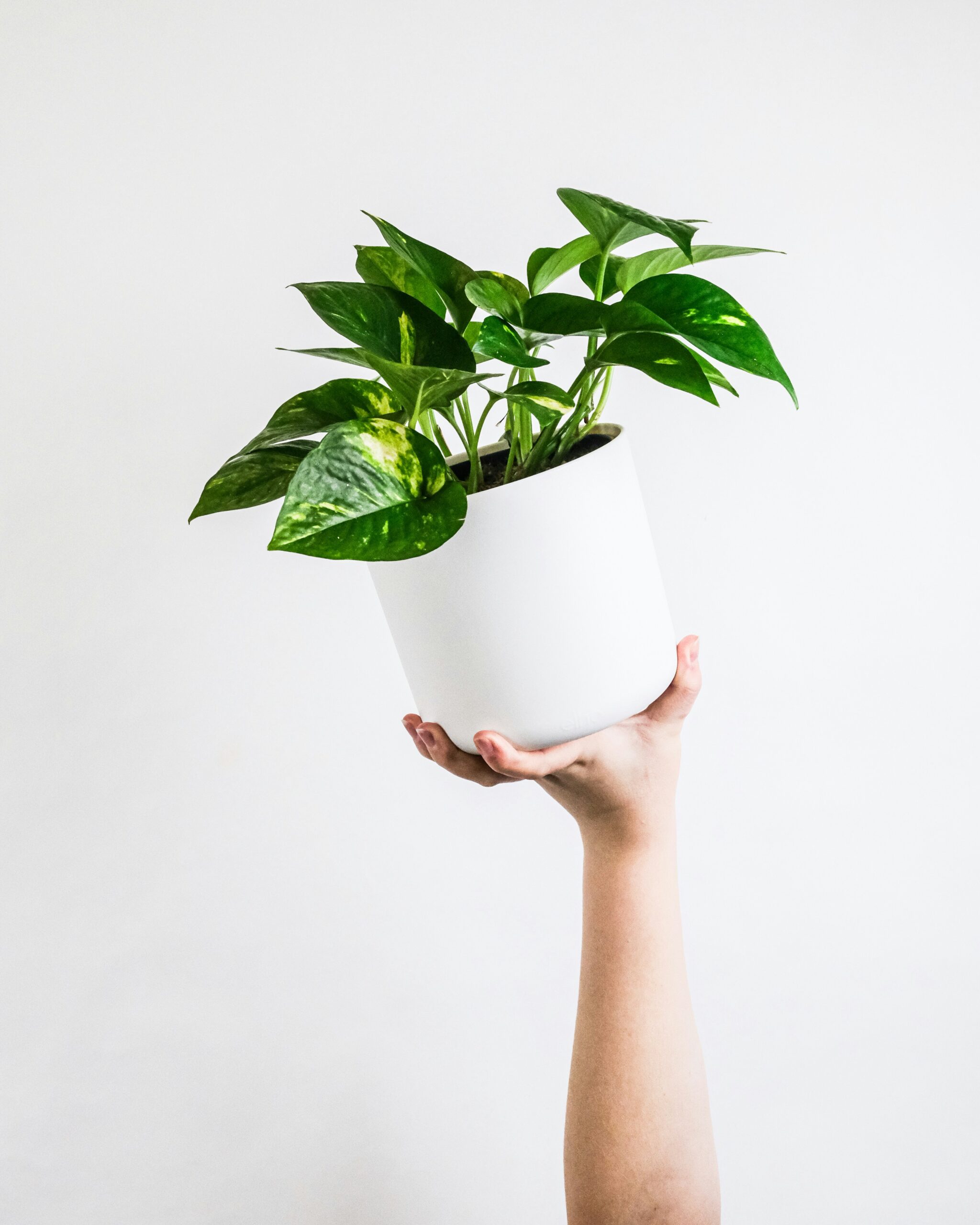 feey-GG9Gh1_FjbM-unsplash
