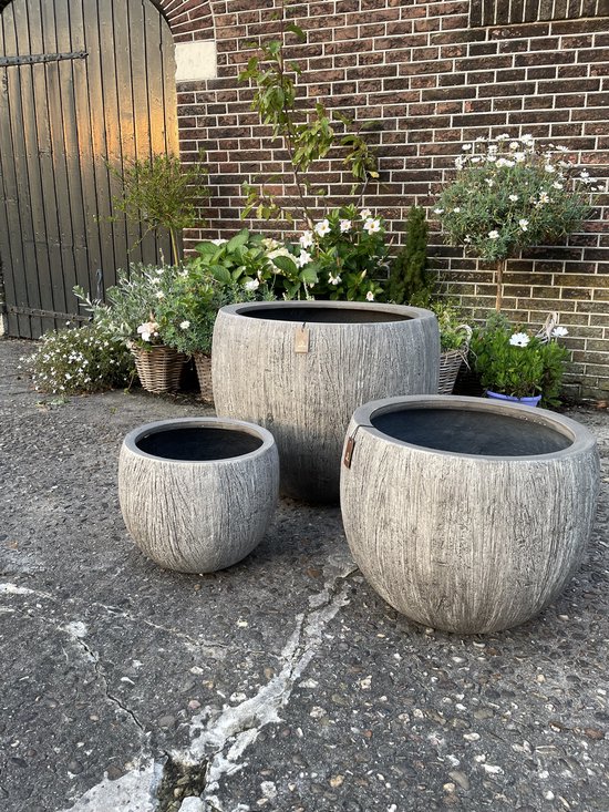 Causeway Bay Woodlook Bloempot